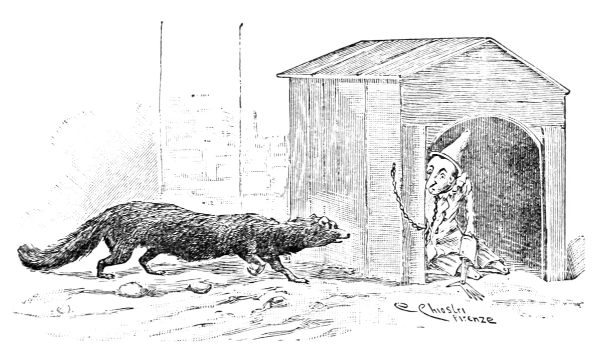 Ein dunkler Marder mit buschigem Schwanz schleicht sich an die Hundehütte heran, aus deren Öffnung Pinocchio, noch an der Kette, hervorschaut.