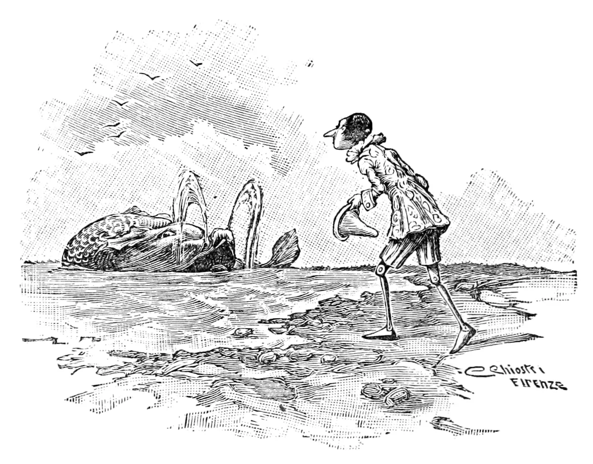Sulla riva, Pinocchio si inchina col berretto in mano verso il Delfino, che se ne sta nell'acqua bassa con le pinne alzate.